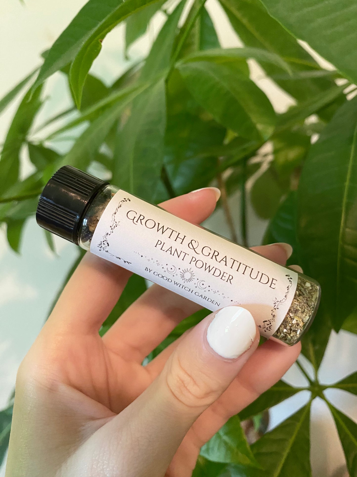 Growth & Gratitude Plant Powder