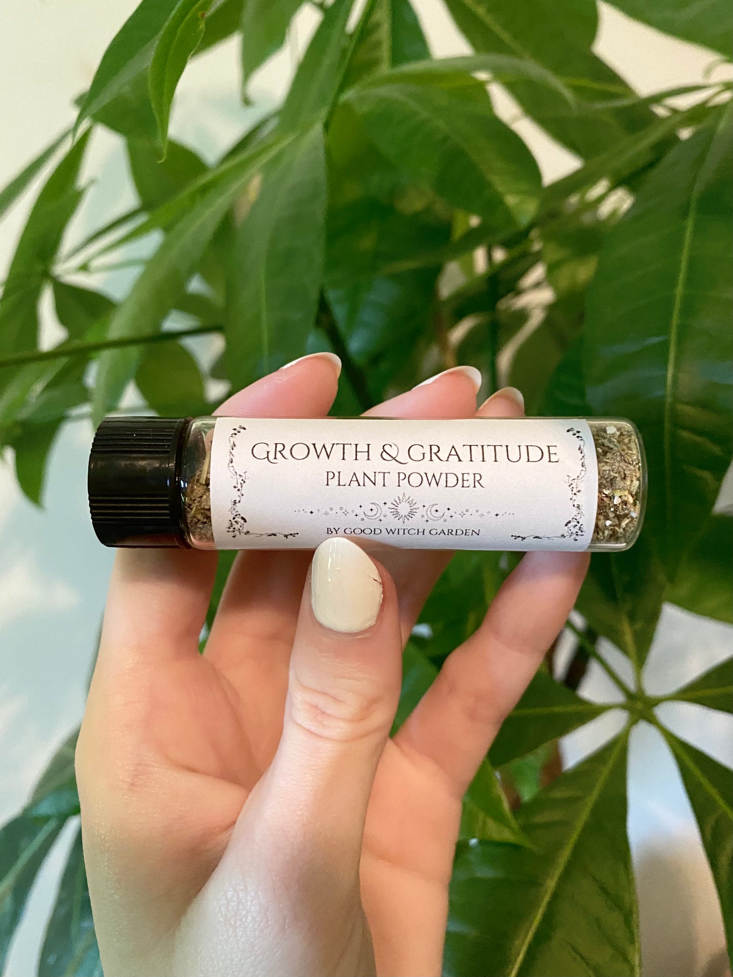 Growth & Gratitude Plant Powder