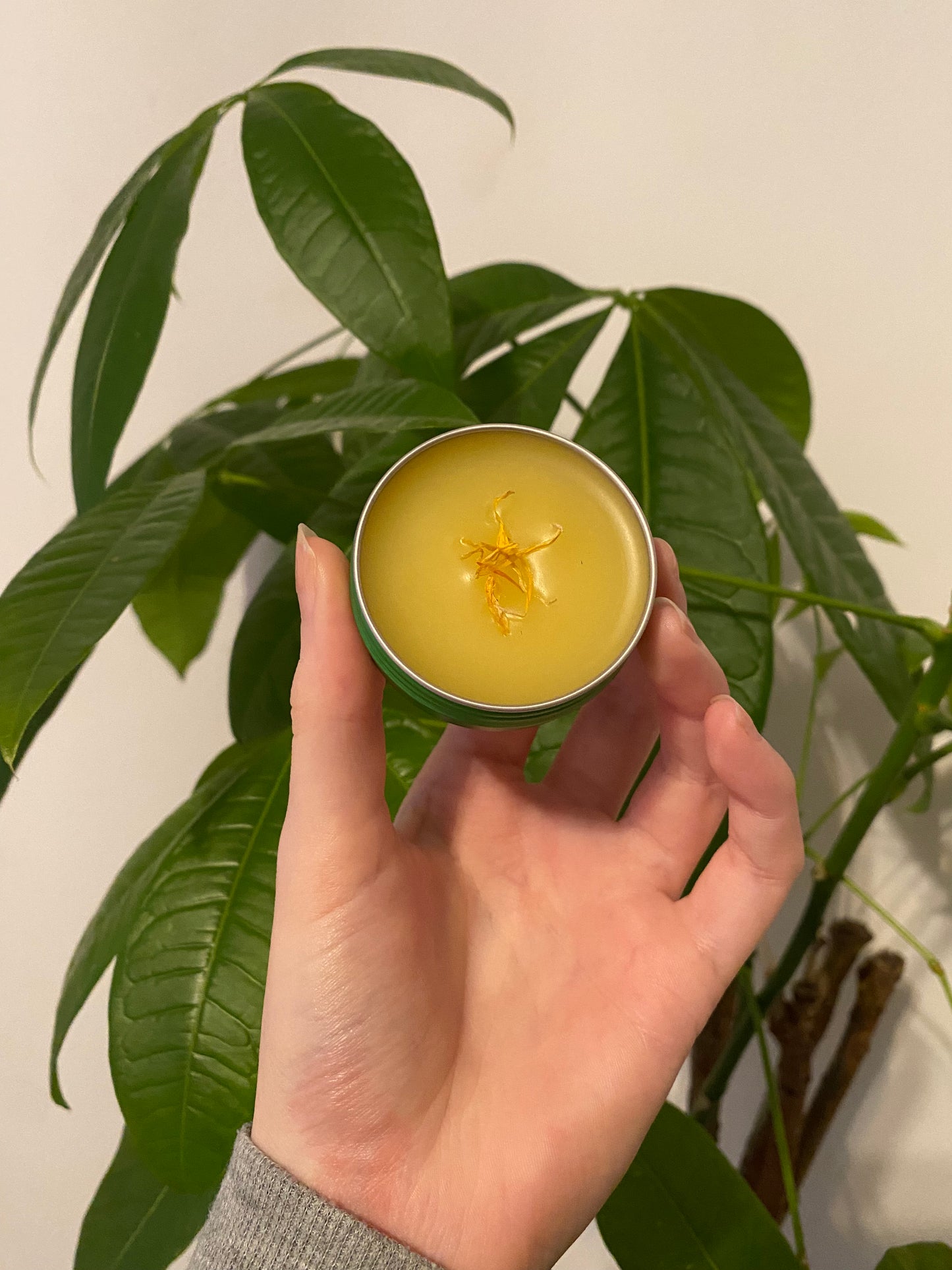 Golden Glow Calendula Salve